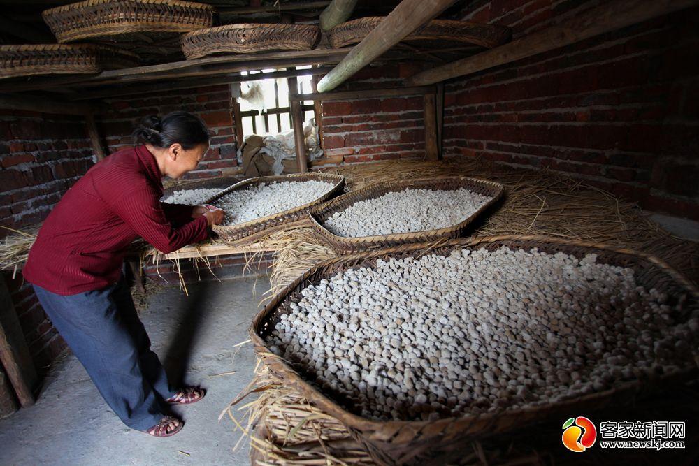 于都县文化广电体育和旅游局领导团队最新概述