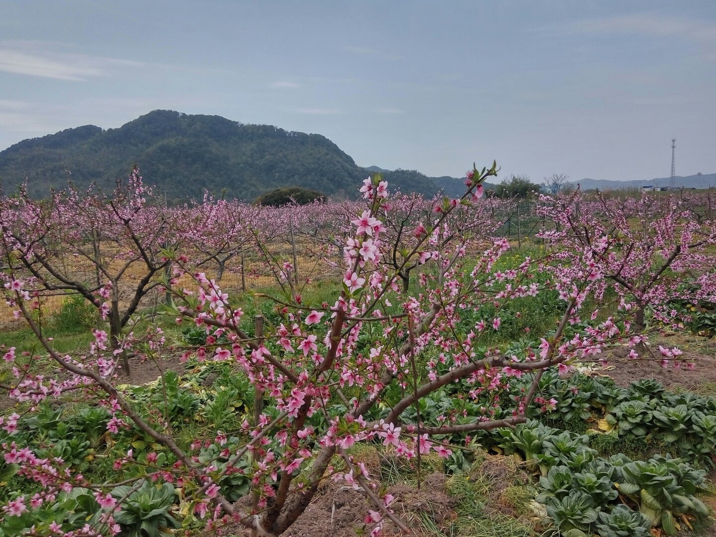 质量体系 第9页