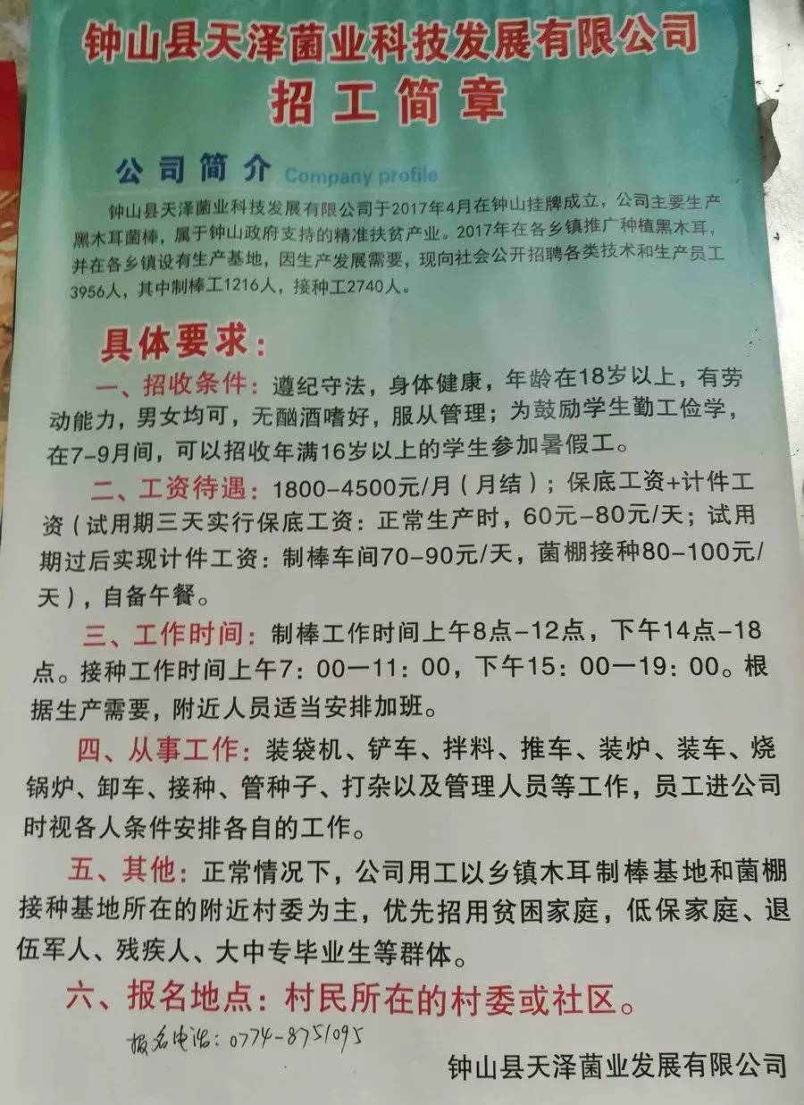 扣求村最新招聘信息汇总