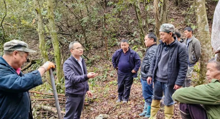 通道县地连林场最新新闻报道概览