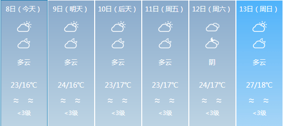 2024年12月8日 第12页