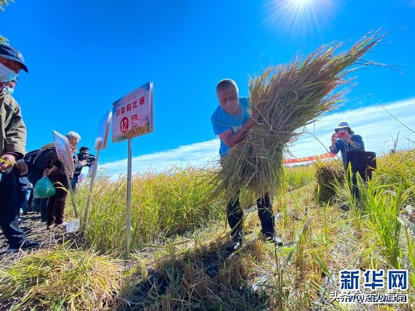 扎赉特旗科学技术和工业信息化局招聘启事概览