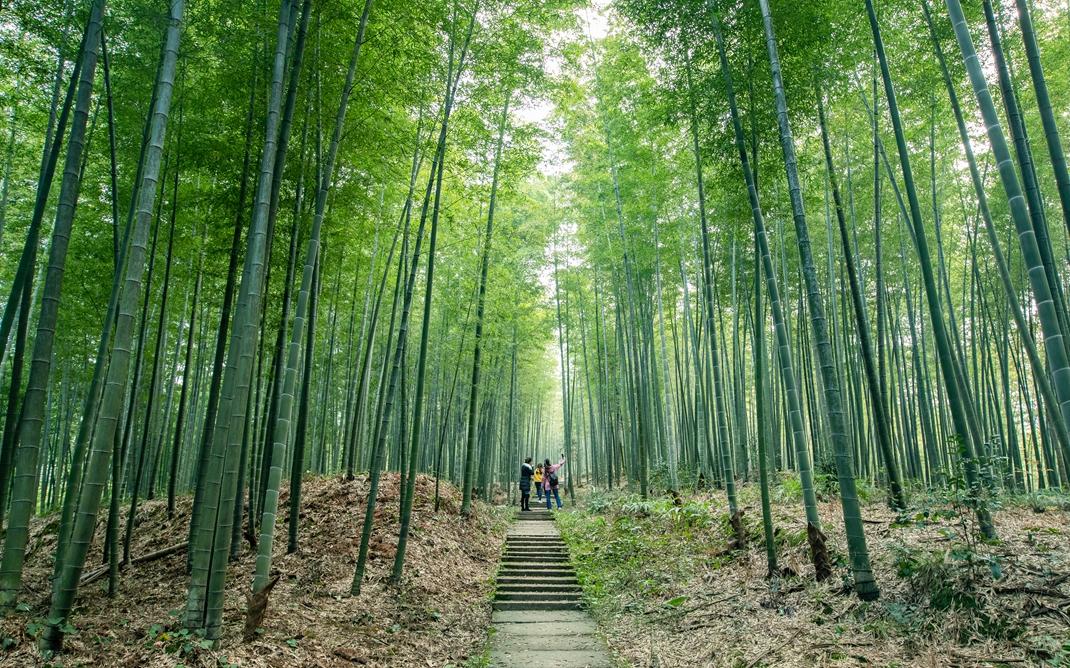 泸州市旅游局新项目启动，推动旅游业高质量发展新篇章