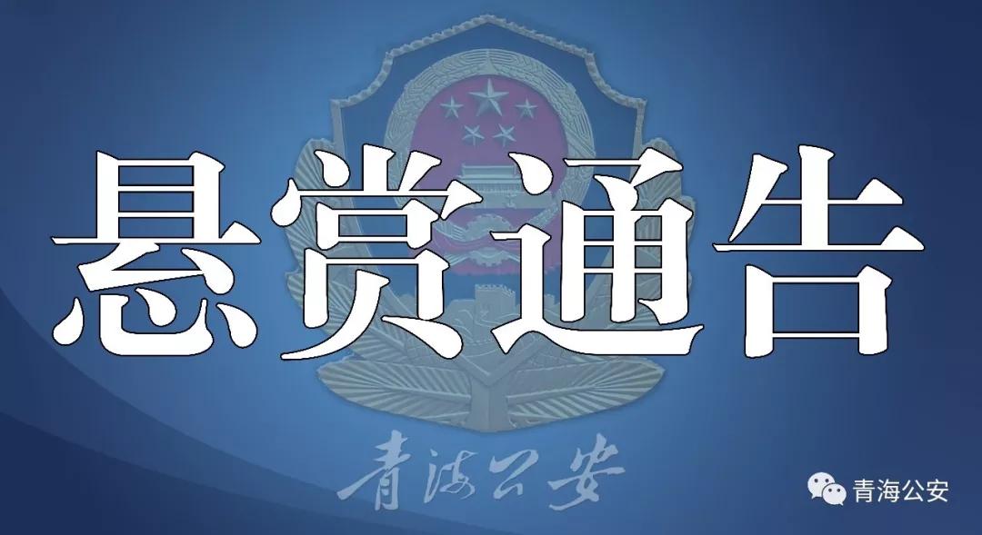 东川区公安局现代化警务体系发展规划，开启社会治安新篇章